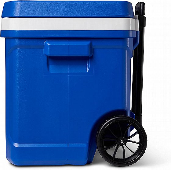 ������ ����� �� ������ 56 ���� PROFILE II ROLLER ��� ���� ����� IGLOO