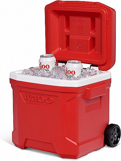 ������ ����� �� ������ 56 ���� PROFILE II ROLLER ��� ���� ����� IGLOO