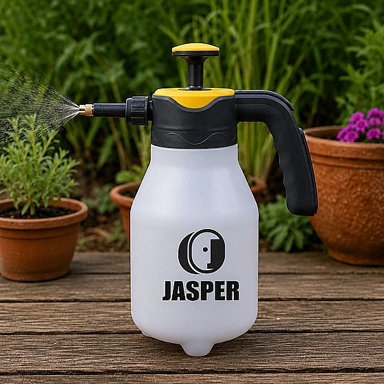 ���� �� ������ 2 ���� ���� ��� ����� JASPER