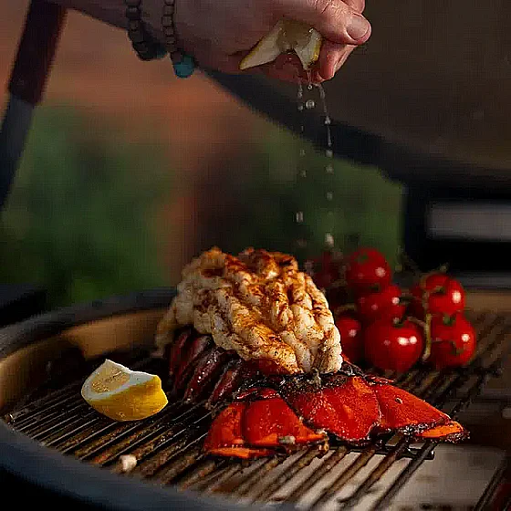 ���� ����� ���� ������� Kamado Joe Big Joe Konnected 