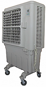 ���� ����� 8,000 ��"� ���� ��� L.C