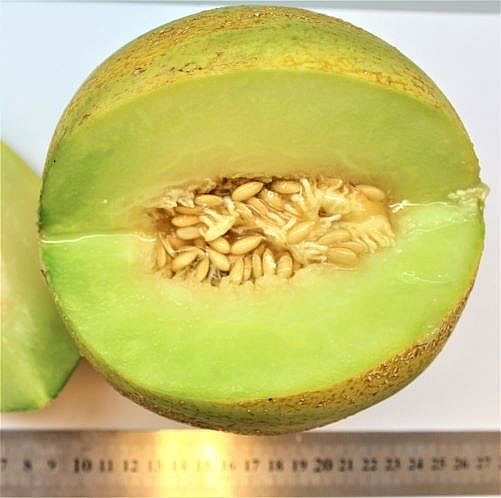 ���� ���� �����
