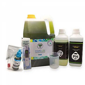 ���� ����� ������ ������ ���������