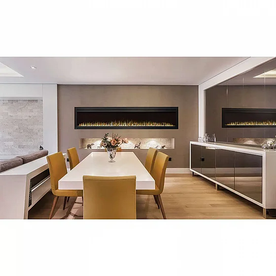 ���� ����� ���� 100 ���� �������� NAPOLEON Fireplace 