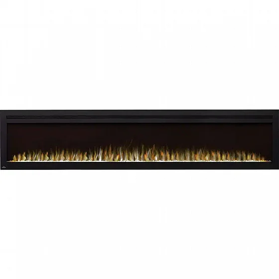 ���� ����� ���� 100 ���� �������� NAPOLEON Fireplace 