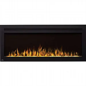 ���� ����� ���� 50 ���� �������� NAPOLEON Fireplace 