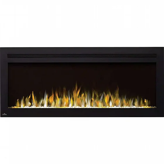 ���� ����� ���� 50 ���� �������� NAPOLEON Fireplace 
