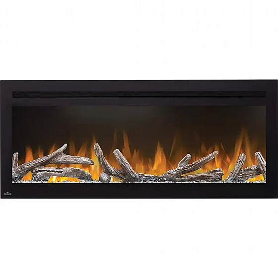 ���� ����� ���� 50 ���� �������� NAPOLEON Fireplace 