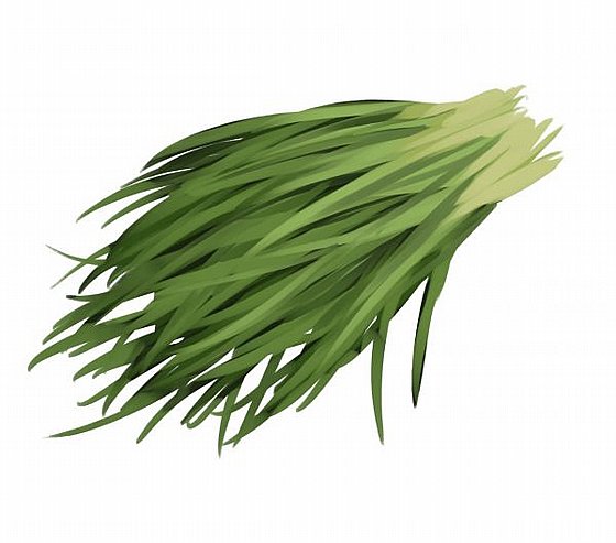 ���� ����� �����