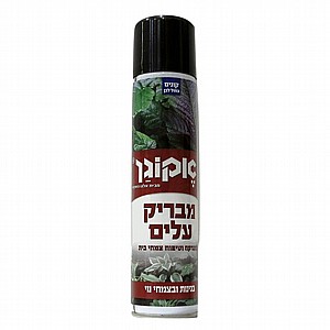 מבריק עלים מבריק עלים