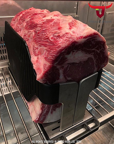 ���� ����� ��� ��� ������ Primo-Ager PAG 400