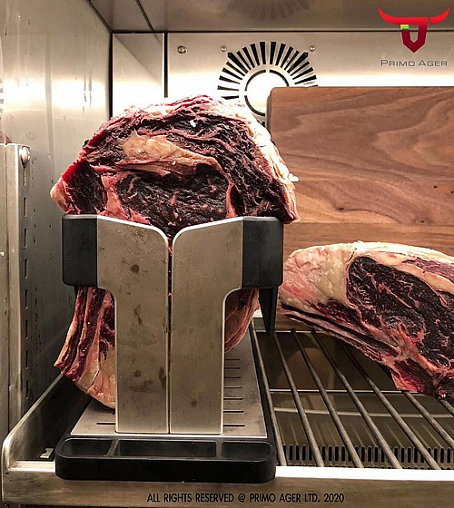 ���� ����� ��� ��� ������ Primo-Ager PAG 400