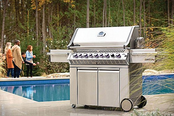 ���� �� �������� ������ ��� 5 ������ + ���� �� NAPOLEON PRESTIGE PRO 665RSIB IL