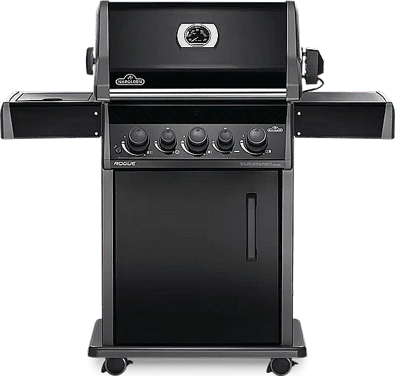 ���� �� �������� ���� 3 ������ + ���� �� NAPOLEON ROGUE 425