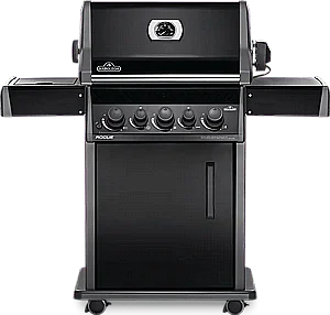 ���� �� �������� ���� 3 ������ + ���� �� NAPOLEON ROGUE 425