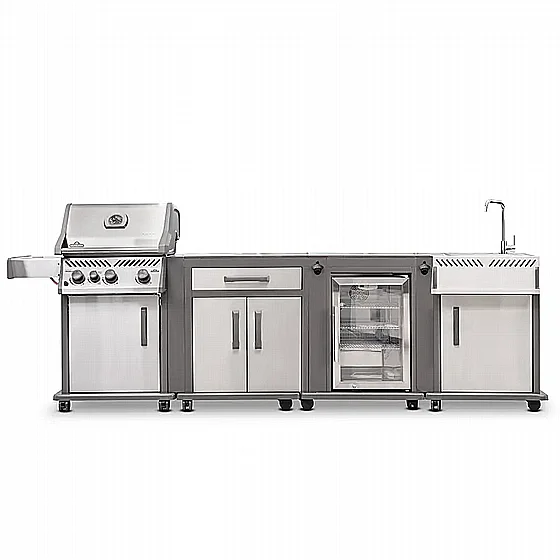 ���� ��� ���� ���� �� + ����� ���� + ������ ���� + ����� ����� ROGUE XT 425SIB IL MODULAR KITCHEN � NAPOLEON (�������)