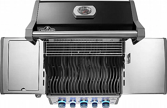 ���� �� �������� ���� �� ������ ���� ����� ����� ��� ���� NAPOLEON Rogue PRO-S 425 RSIB