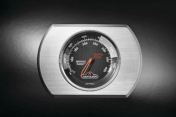 ���� �� �������� ���� �� ������ ���� ����� ����� ��� ���� NAPOLEON Rogue PRO-S 425 RSIB