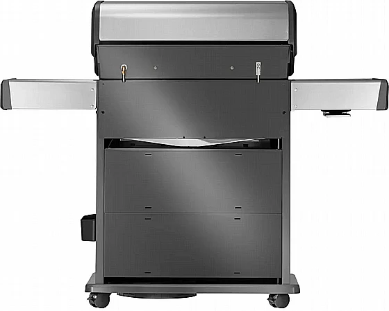 ���� �� 4 ������ �������� Rogue PRO-S 525 RSIB �� ���� �� ������ ���� ����� ����� - ������� � NAPOLEON