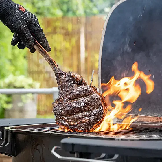 ����� ������ MEATER�+ 2.0