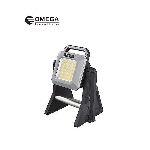 ����� 2x30W+���� LION