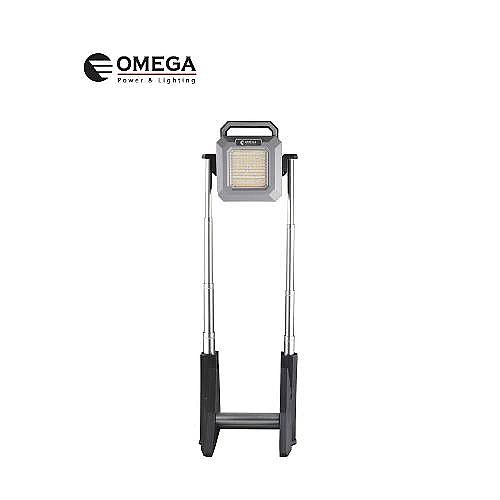 ����� 2x30W+���� LION