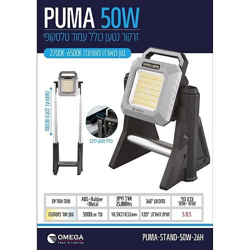 ����� 2x30W+���� LION