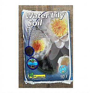 ��� ������ ��� ����� ��� ������ ��� ��� ��� 10 ���� UBBINK LILY