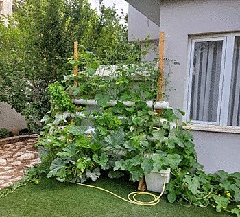 ����� ����������� 4 ��� 40 ����� VineaGreen