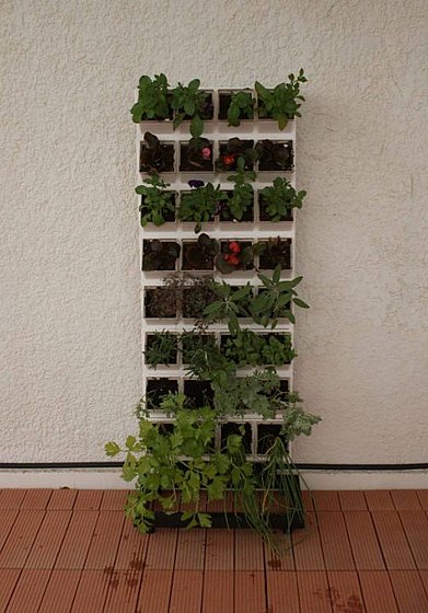 ���� ��� ���� 32 ����� VineaGreen