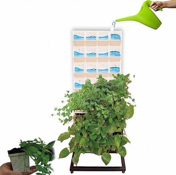 ���� ��� ���� 32 ����� VineaGreen