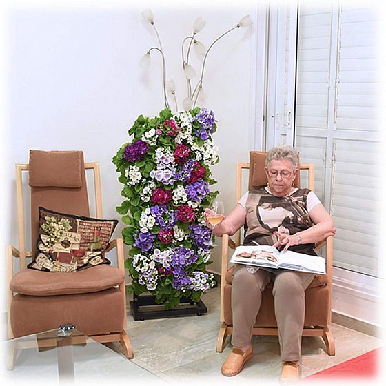 ���� ��� ���� 32 ����� VineaGreen