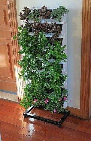���� ��� ���� 32 ����� VineaGreen