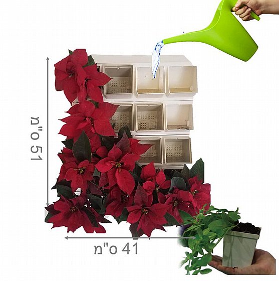��� ���� 16 ����� ���� ����� VineaGreen