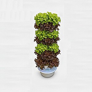���� ��������� ������� 5 ����� �-20 ����� Vinea Green