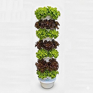 ���� ��������� ������� 9 ����� �-36 ����� Vinea Green